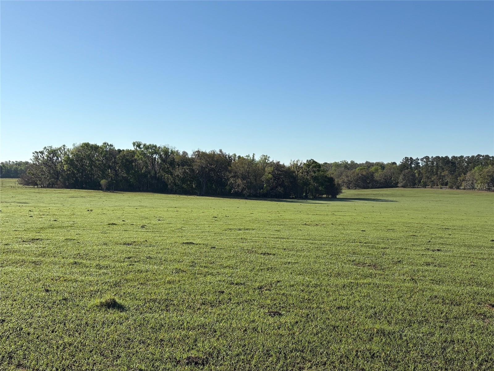 ACREAGE - Land