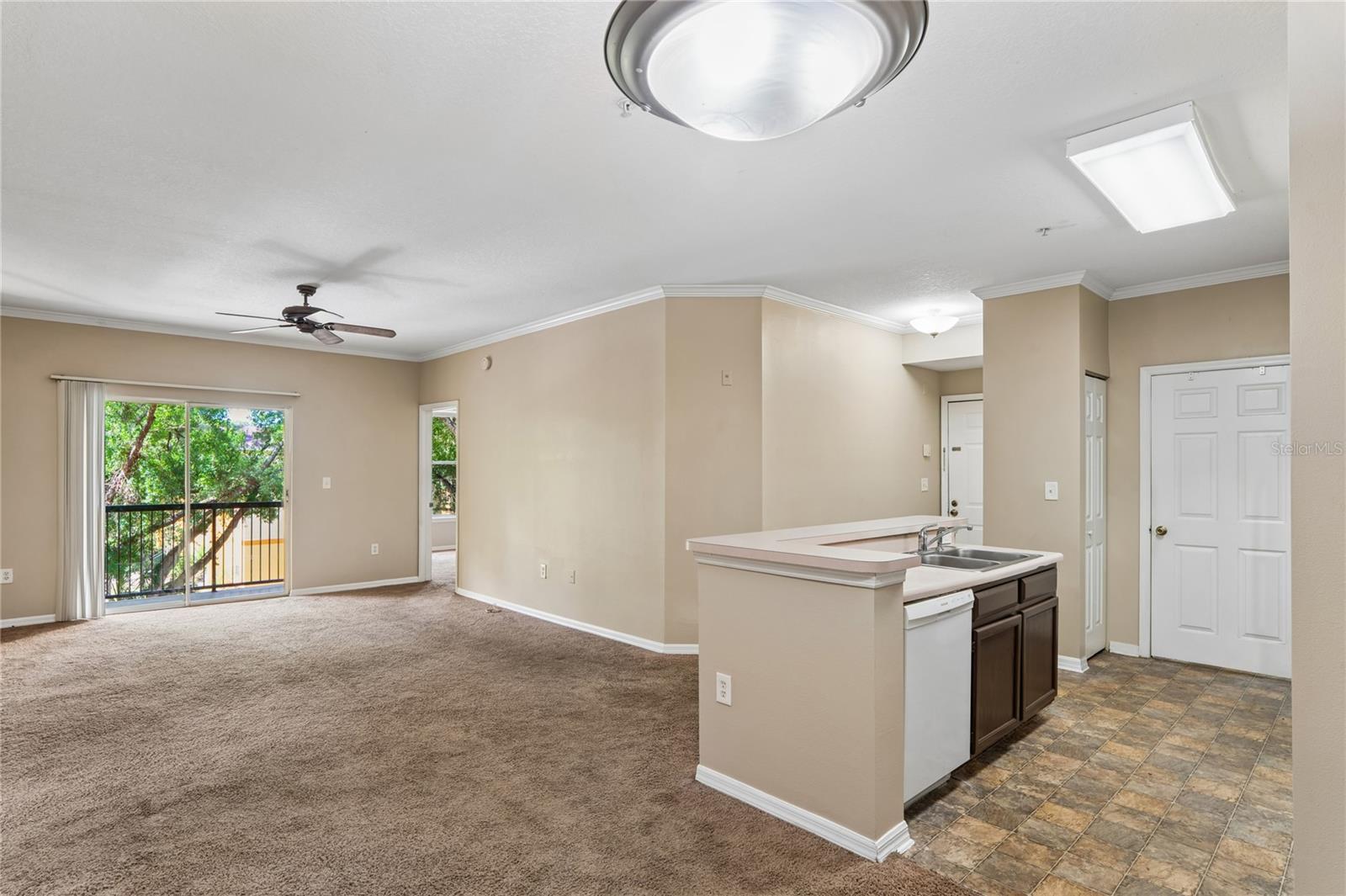 THE PINNACLE AT CARROLLWOOD A - Residential