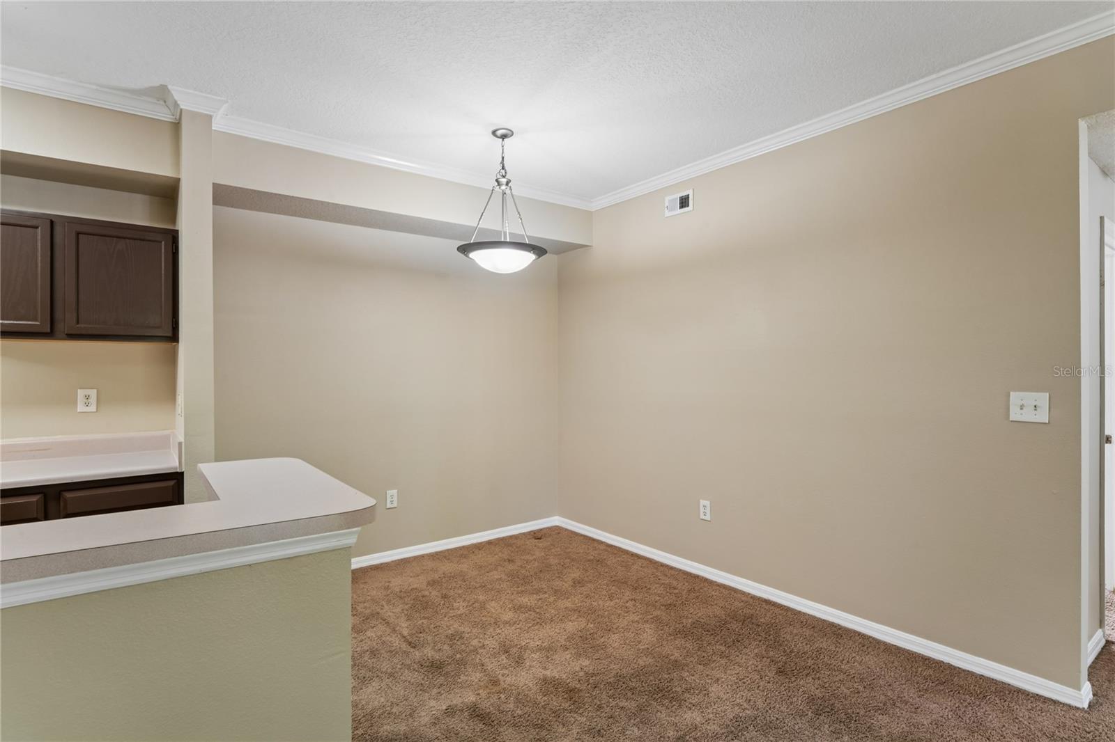 THE PINNACLE AT CARROLLWOOD A - Residential