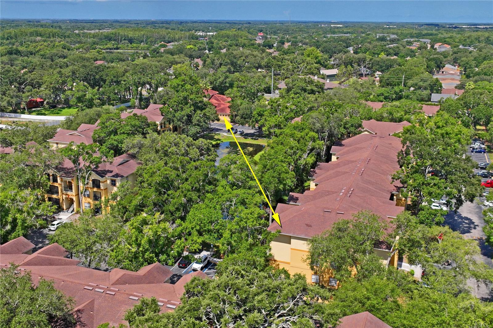 THE PINNACLE AT CARROLLWOOD A - Residential