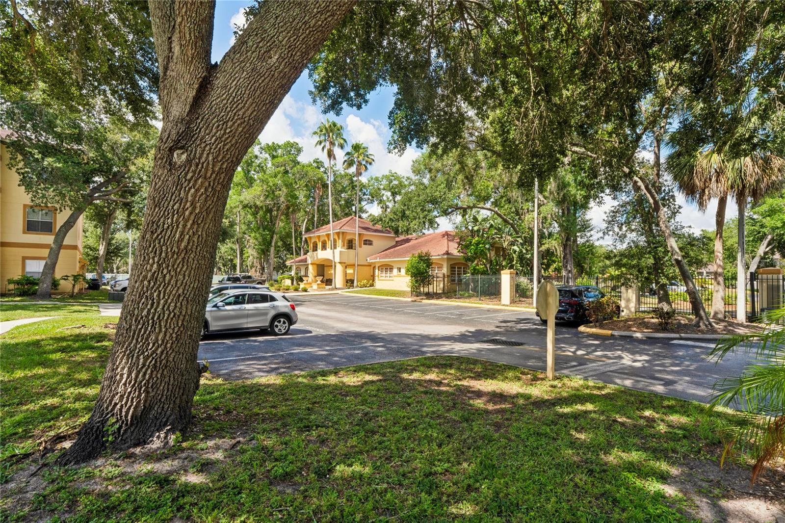 THE PINNACLE AT CARROLLWOOD A - Residential