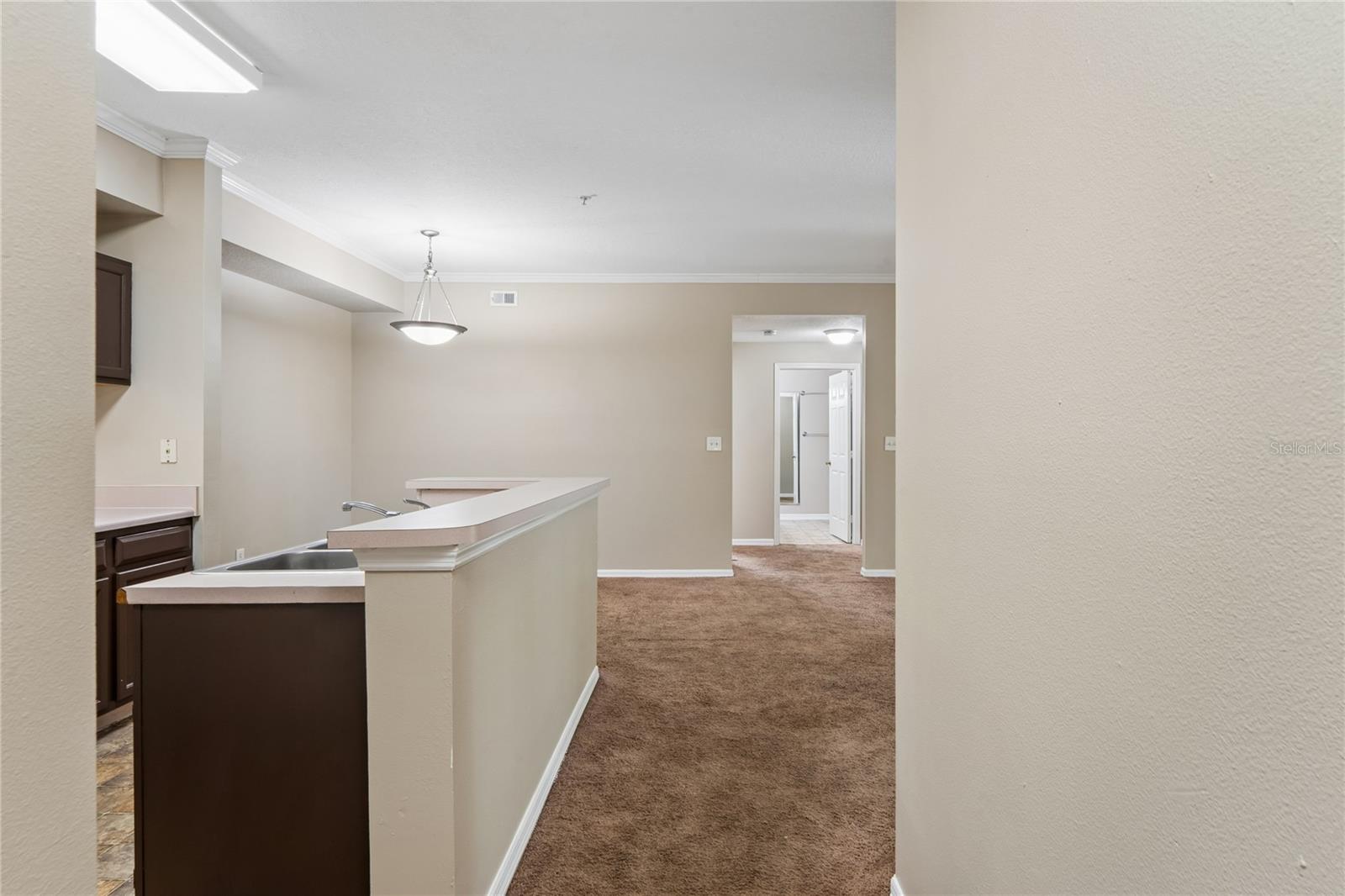 THE PINNACLE AT CARROLLWOOD A - Residential