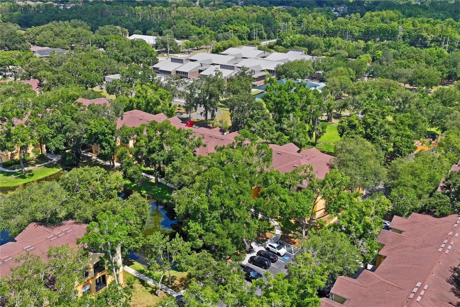 THE PINNACLE AT CARROLLWOOD A - Residential