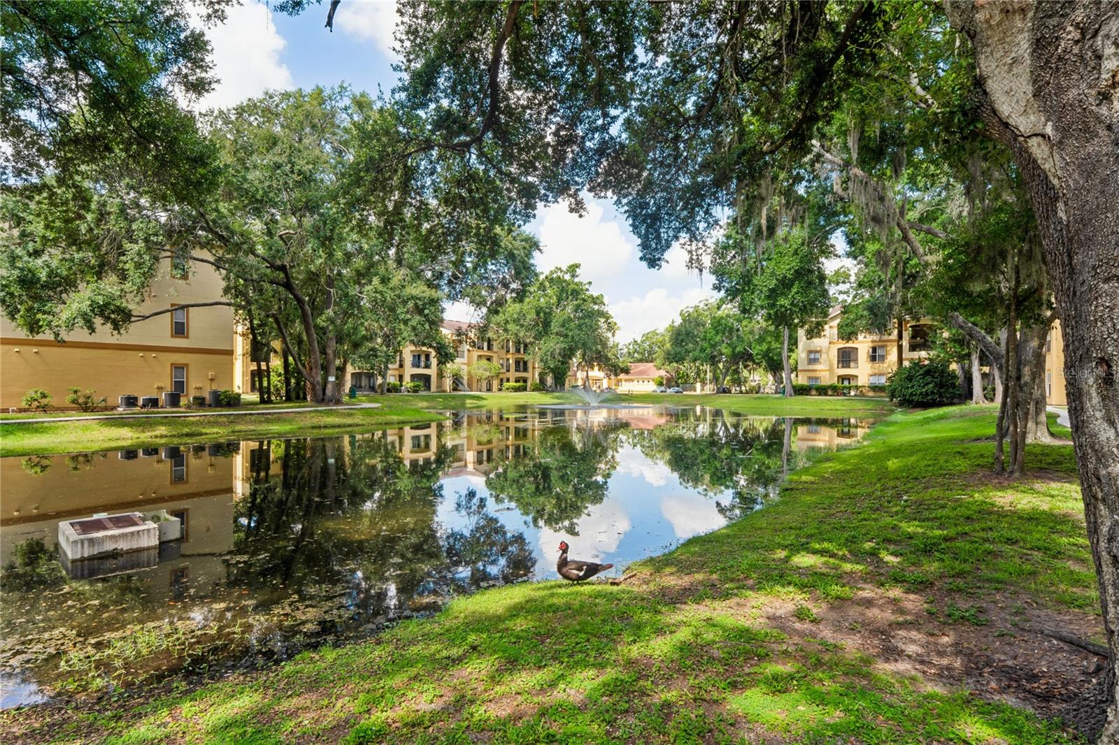 THE PINNACLE AT CARROLLWOOD A - Residential