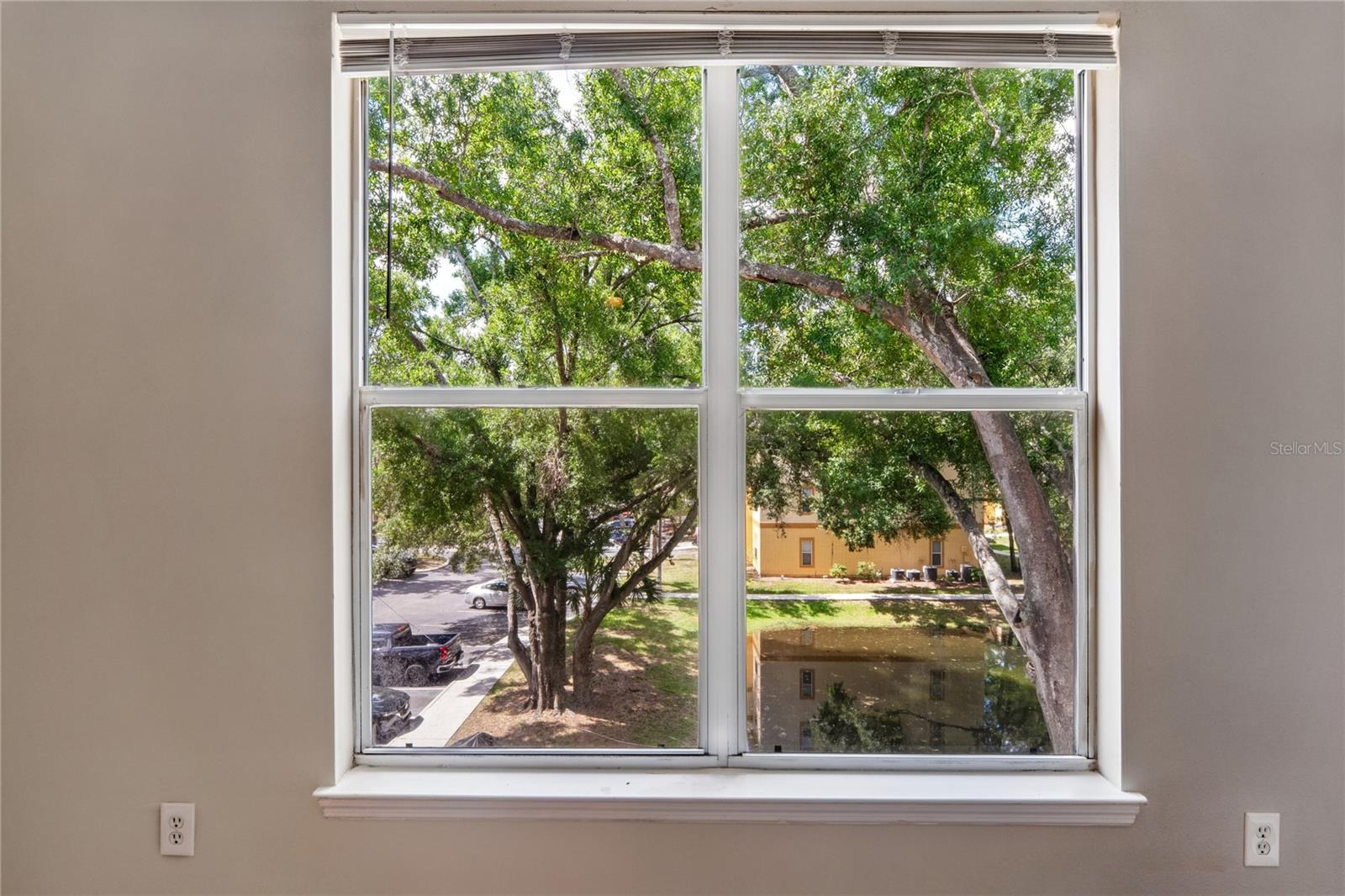 THE PINNACLE AT CARROLLWOOD A - Residential