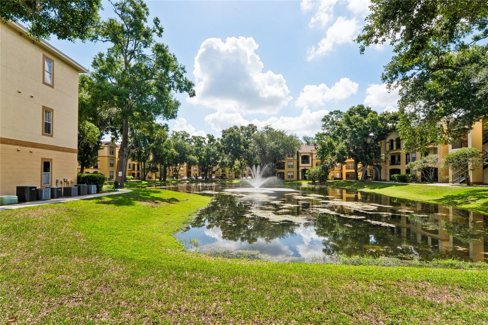 THE PINNACLE AT CARROLLWOOD A - Residential
