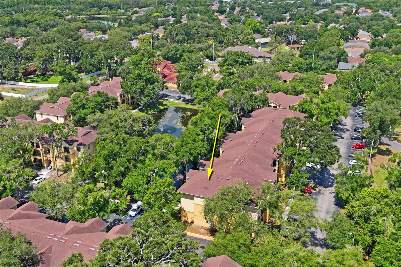 THE PINNACLE AT CARROLLWOOD A - Residential
