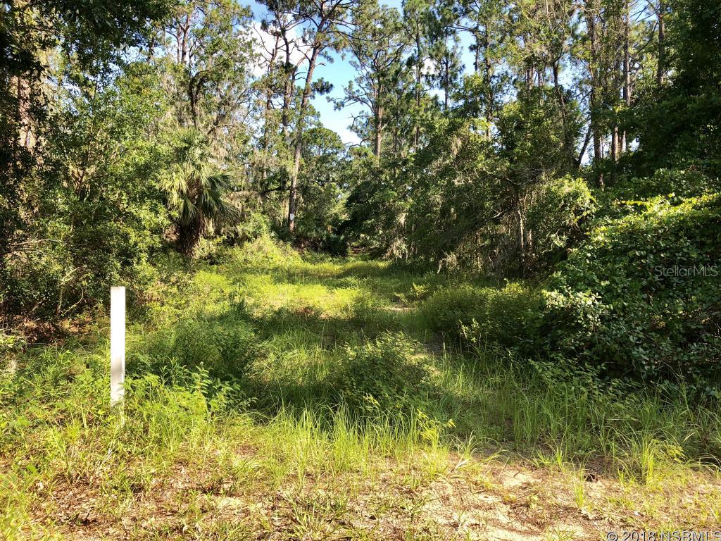 PRICE REDUCED! Rare opportunity to purchase this much land at an affordable price in Edgewater.  Beautiful 2.14 acre residential building site partially cleared.  Owner has had lot staked, surveyed and partially cleared.  Great location, close to shopping and highway convenience.  Utilities available.  Owner selling another parcel (1.22 acres) that can be purchased with this parcel or purchased separately.  Combined acreage is 3.36 if purchased together and $113,000.00. Information is intended to be accurate but not guaranteed.; Cleared: Partial ;Water: Available at Site