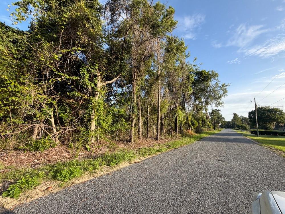 Discover 19.27 beautiful acres in the heart of Levy County. This beautiful property is tucked away in a quiet rural setting, offering the space and freedom to create your ideal homesite, private retreat, or long-term land investment. Surrounded by natural beauty and mature vegetation, the parcel provides exceptional privacy. With plenty of room for a custom residence, agricultural use, or outdoor enjoyment, this versatile tract delivers the charm of Florida living with easy access to the region’s renowned springs and outdoor adventures. Whether  you’re seeking a weekend escape, a peaceful place to enjoy nature, or acreage with future potential, this property offers endless possibilities.

Located in a growing area of Levy County, you’ll enjoy wide-open spaces while remaining within a reasonable drive of everyday amenities.