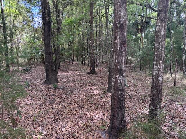 1.77 ACRES IN SPANISH TRACE on a paved road in a prestigious subdivision, HOA $55 per year is minimally restrictive and covers the cost of maintenance of subdivision entry and common grounds. This community offers exclusive private park and boat ramp for residents. Deed restrictions for this lot require site-built home minimum 1000 square feet, PERFECT FOR YOUR TINY HOME!!. Only minutes to town yet far enough away to enjoy the wildlife who frequent here like abundant deer and turkey. Levy County is known for LOW PROPERTY TAXES and numerous pristine freshwater springs and boat ramps on the Suwannee River and the amazing island of Cedar Key and the Gulf of Mexico. Drive by and take a look today. Make this the spot for your new country dream home and start enjoying the peace and tranquility like you've never imagined! Drive by and take a look.