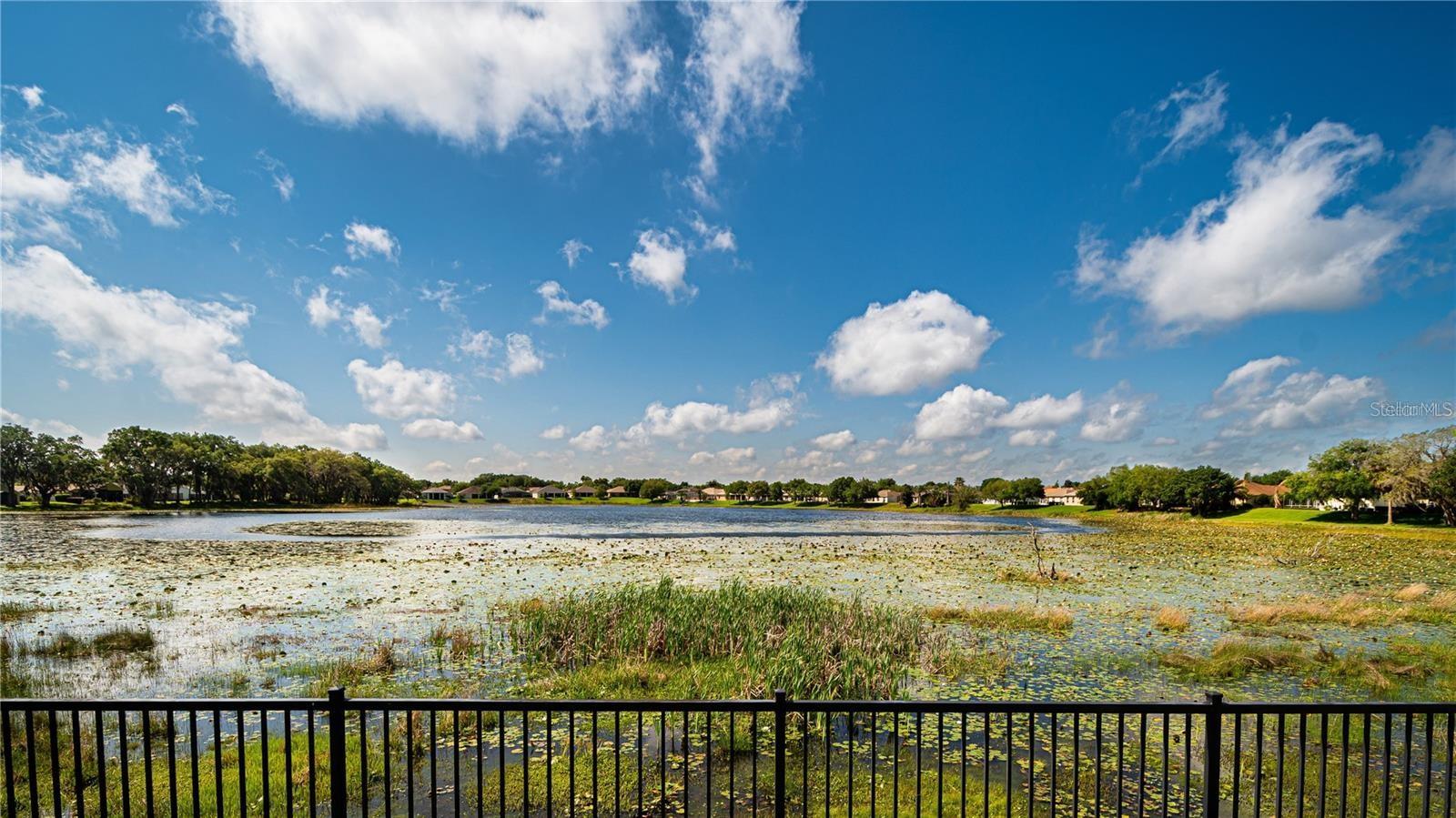 PLANTATION AT LEESBURG GLENDALE VILLAGE - Residential