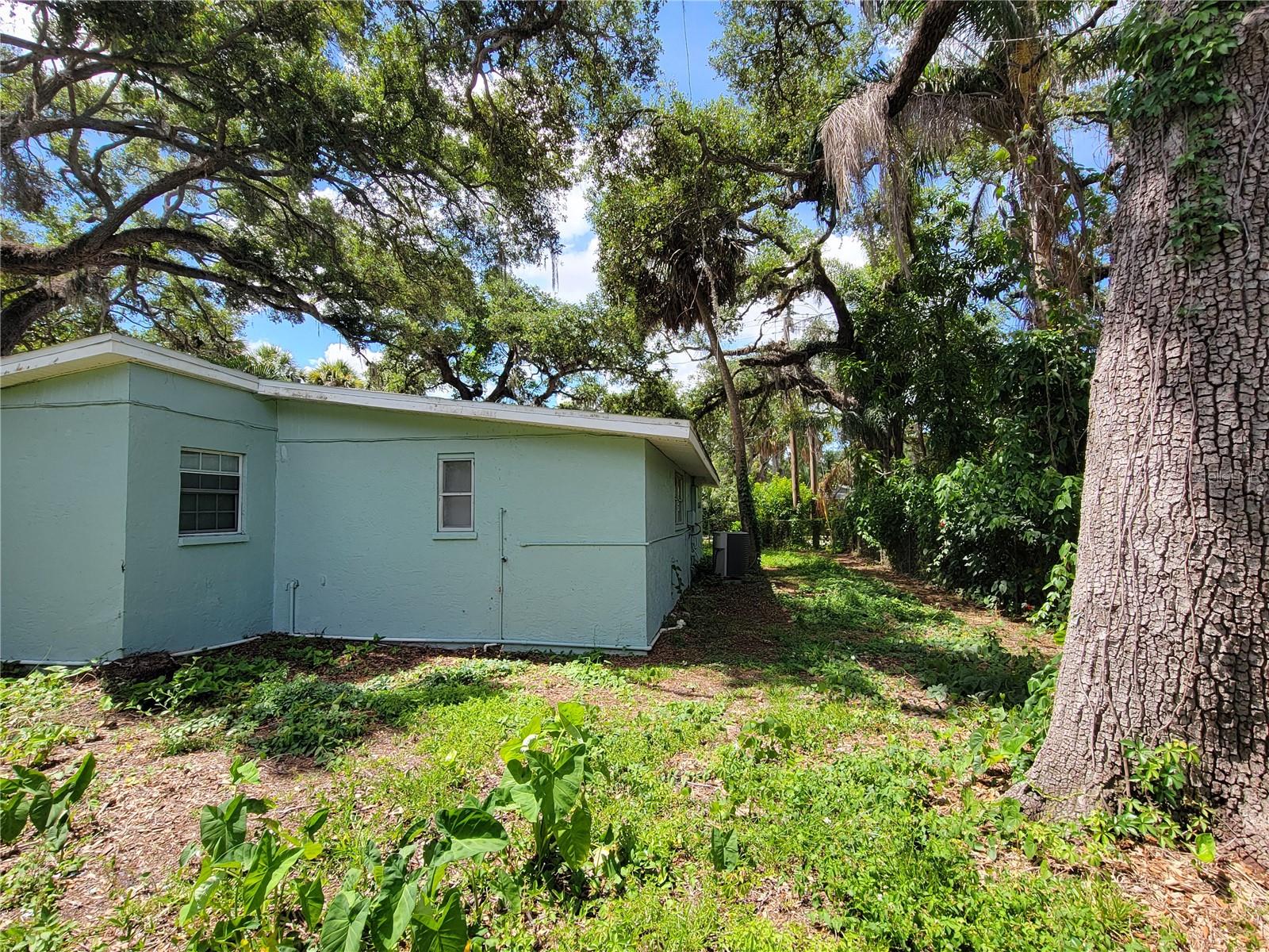 PALM GROVE - Residential