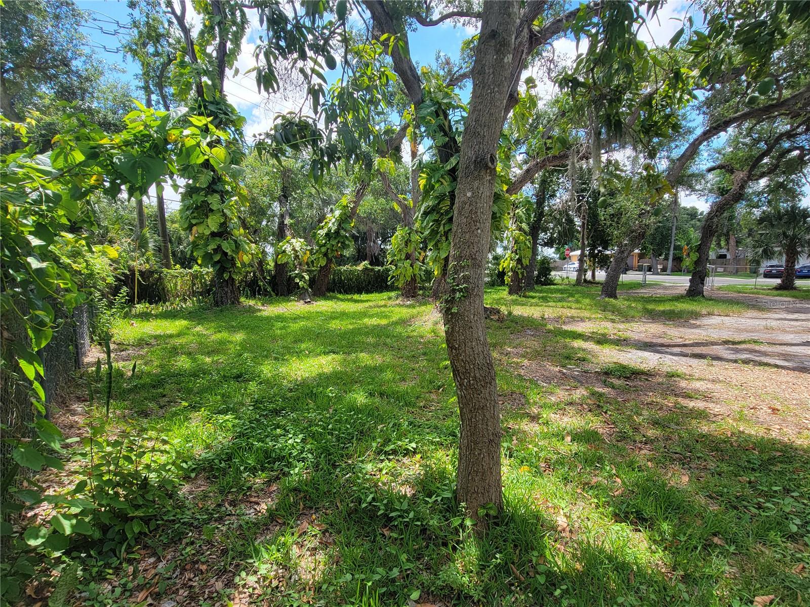 PALM GROVE - Residential