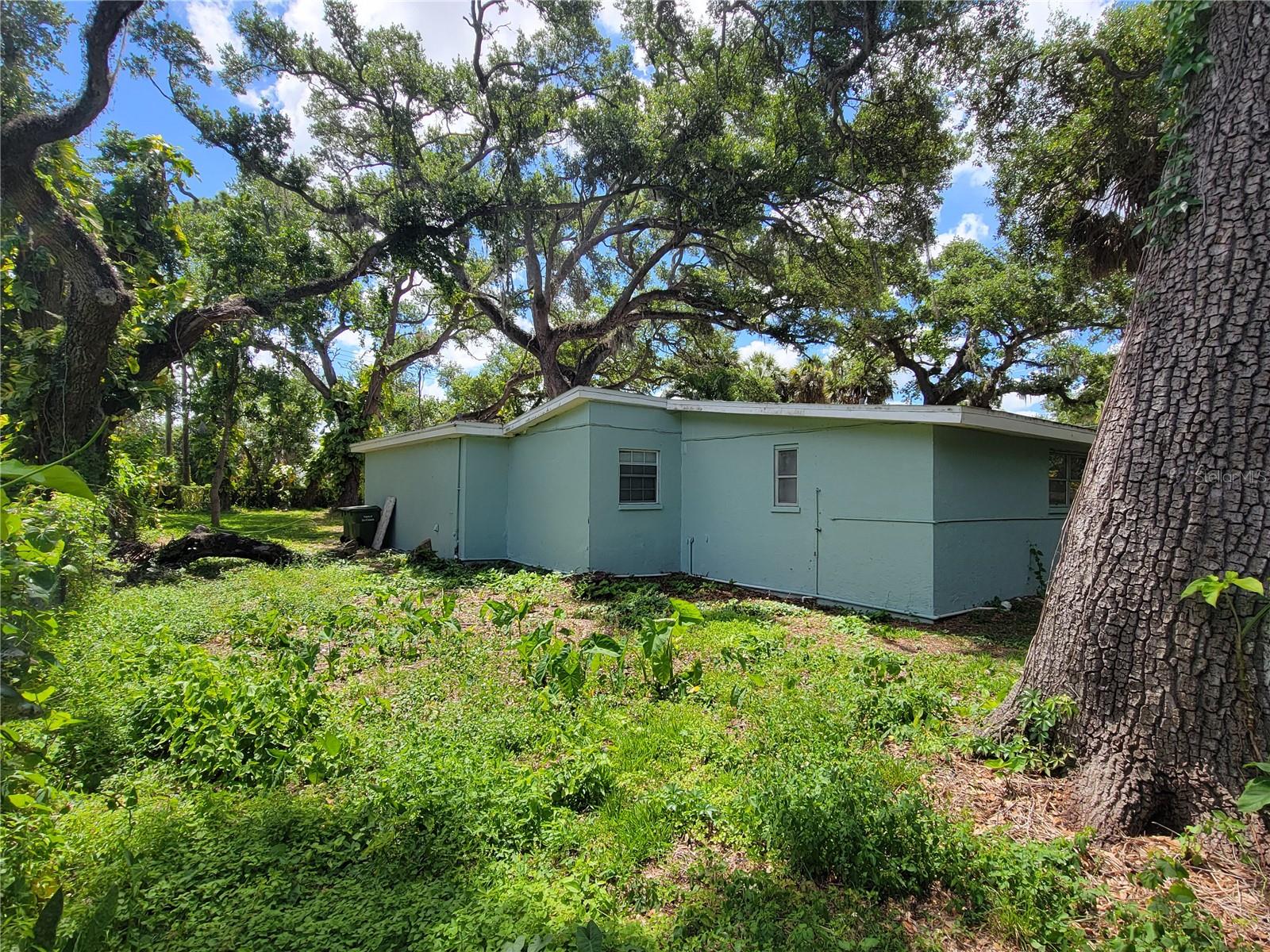 PALM GROVE - Residential