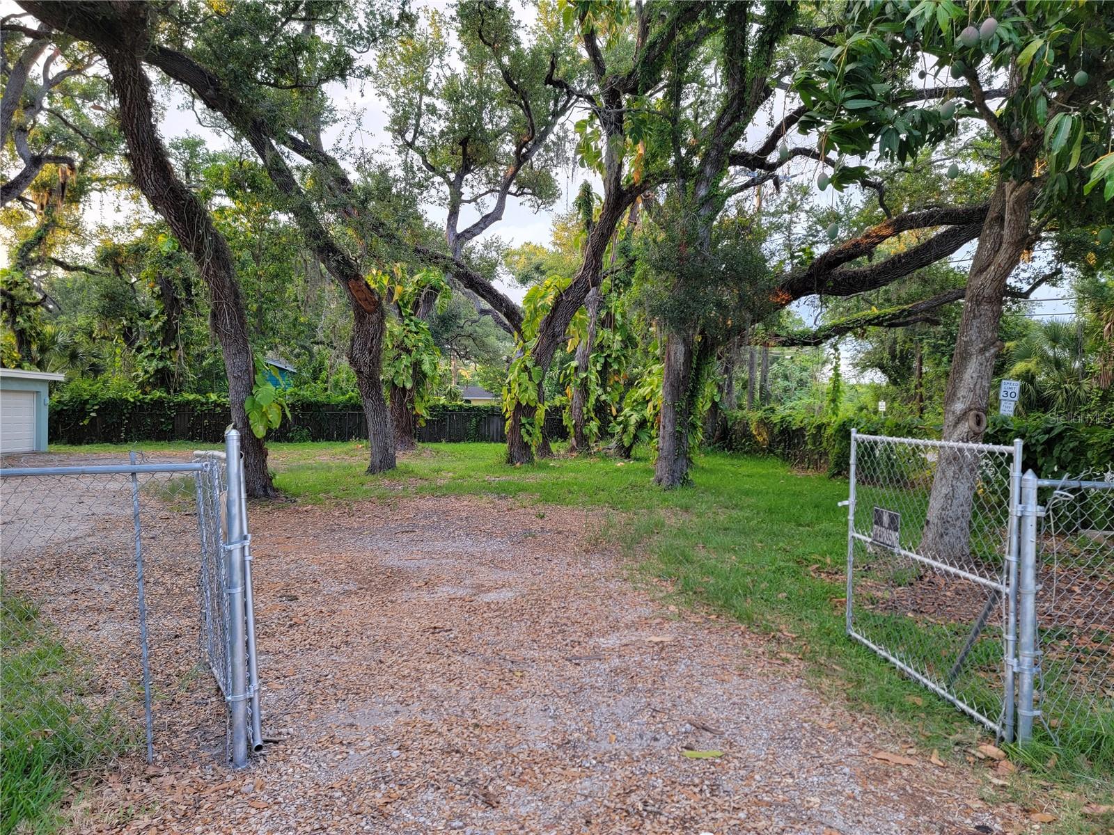 PALM GROVE - Residential