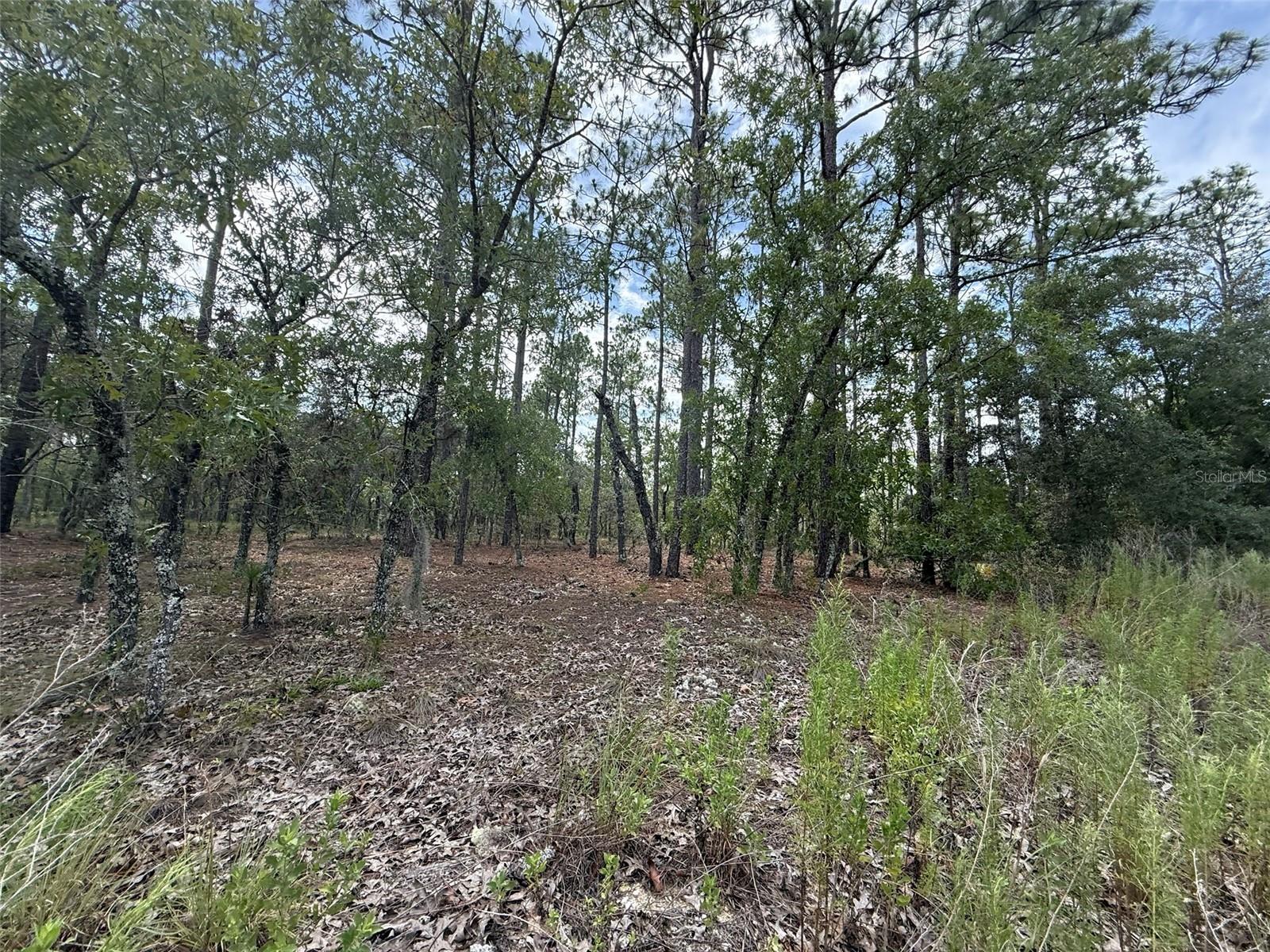 RAINBOW LAKES ESTATE - Land
