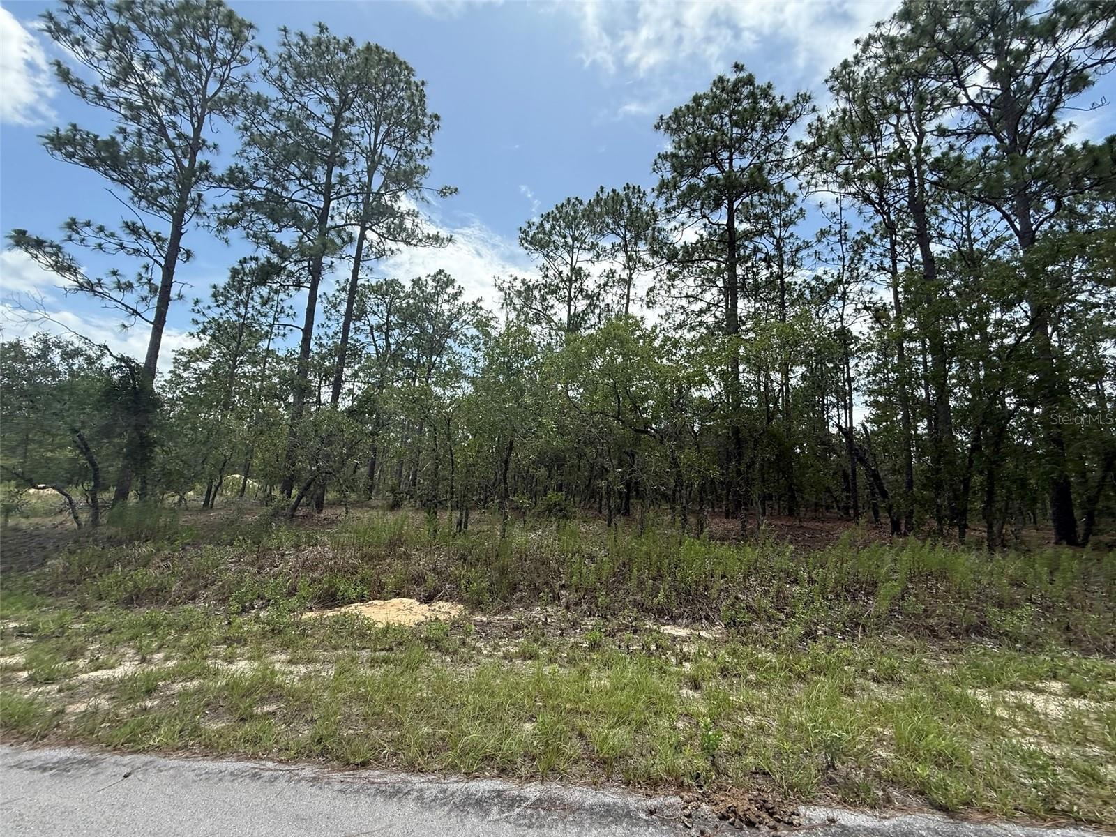 RAINBOW LAKES ESTATE - Land