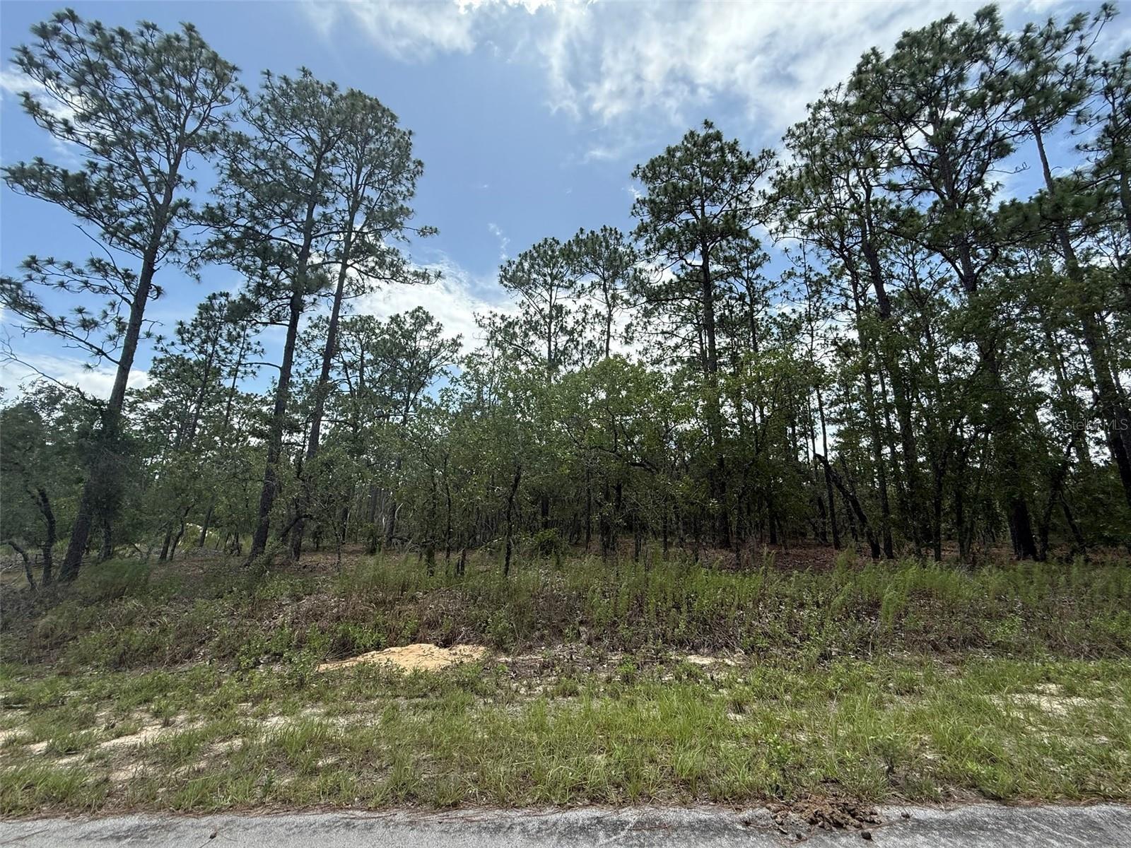 Build Your Dream Home or Invest in Florida's Future! Don't miss this beautiful 1-acre homesite in the desirable Rainbow Lakes Estates community. Located in Flood Zone X, this property offers the perfect setting for your custom home with plenty of room for a pool, workshop, RV, boat, and all your outdoor toys. Surrounded by new homes and peaceful natural beauty, you'll enjoy the privacy of country living while remaining just a short drive from Dunnellon, Ocala, Gainesville, Crystal River, and the Gulf Coast. Spend your weekends exploring Rainbow Springs State Park, known for its crystal-clear springs, kayaking, swimming, hiking trails, and abundant wildlife. Whether you're ready to build now or looking for a smart investment in a growing area, this 1-acre parcel is full of potential. No time limit to build. For GPS directions, use 1262 NW Tree Top Rd, Dunnellon, FL—the property is nearby.