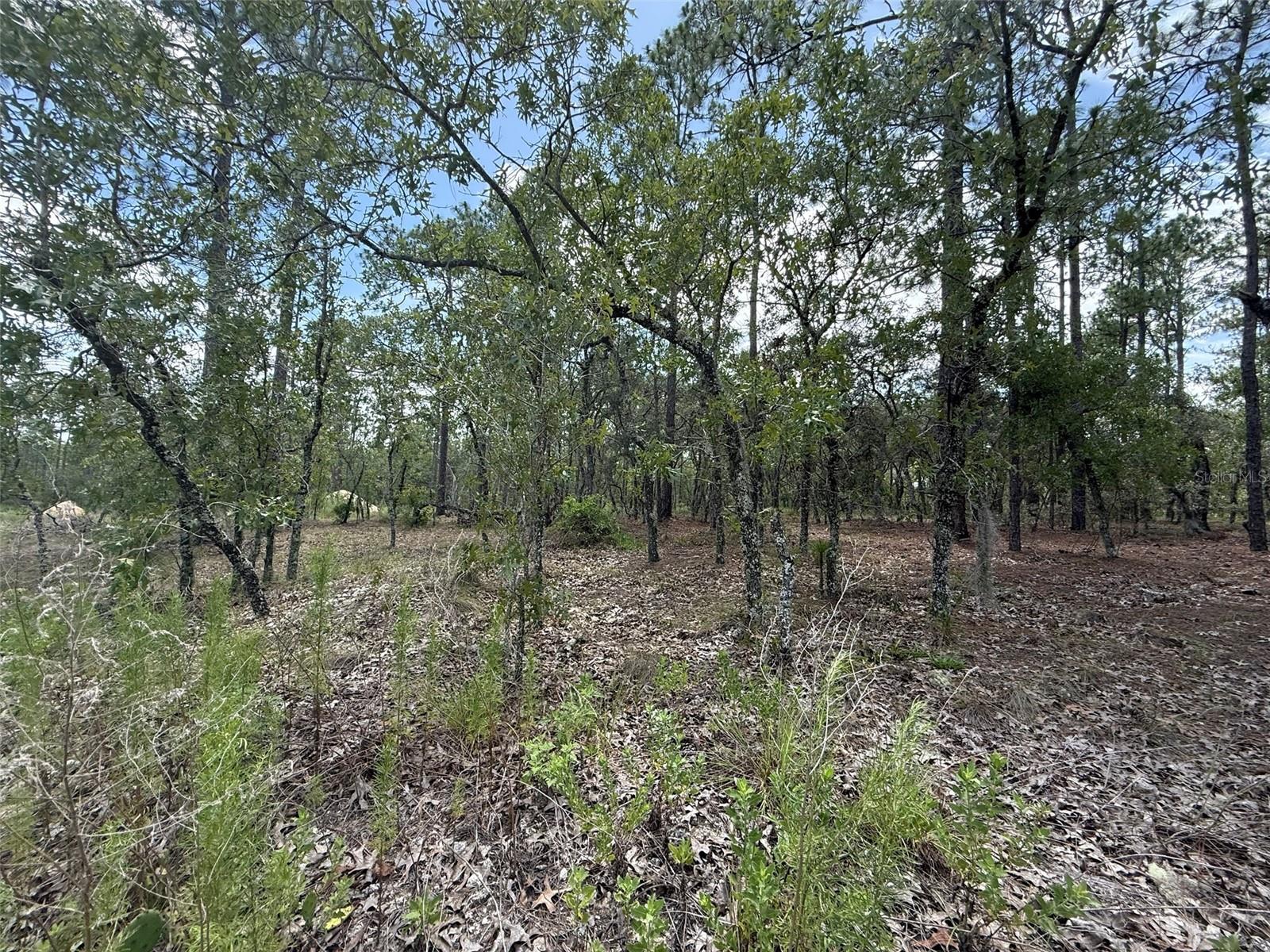 RAINBOW LAKES ESTATE - Land