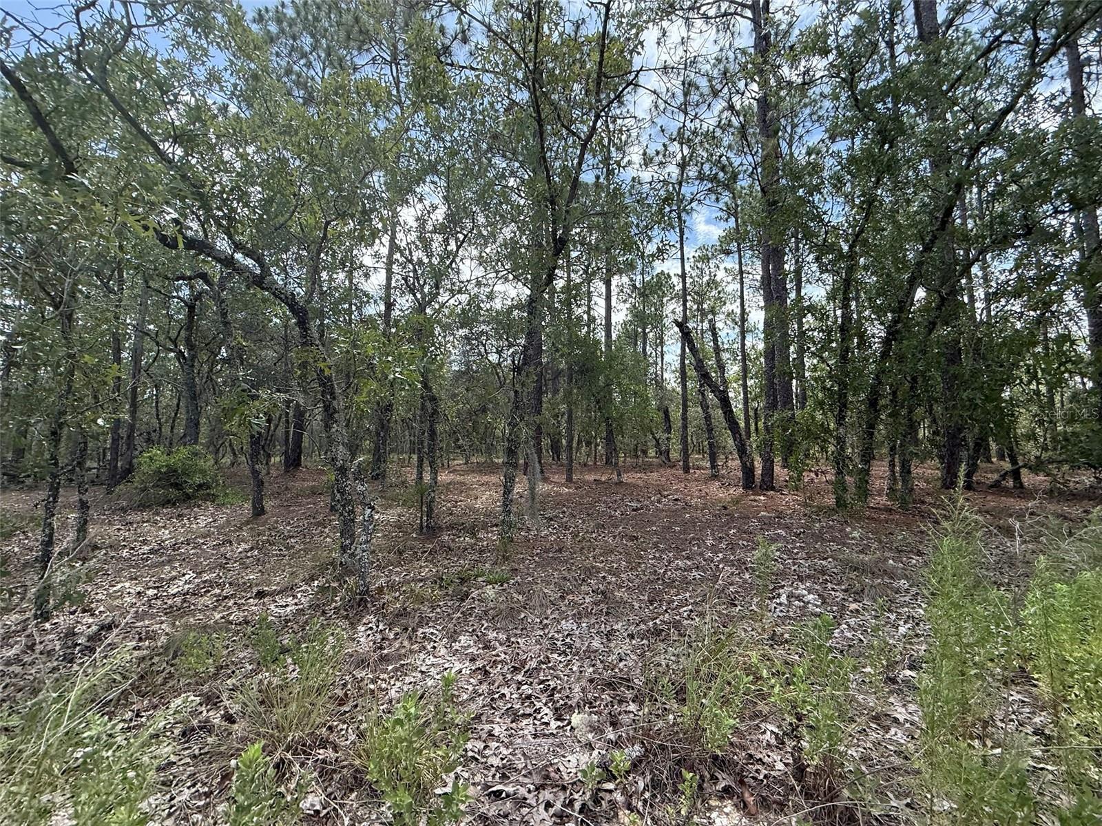 RAINBOW LAKES ESTATE - Land