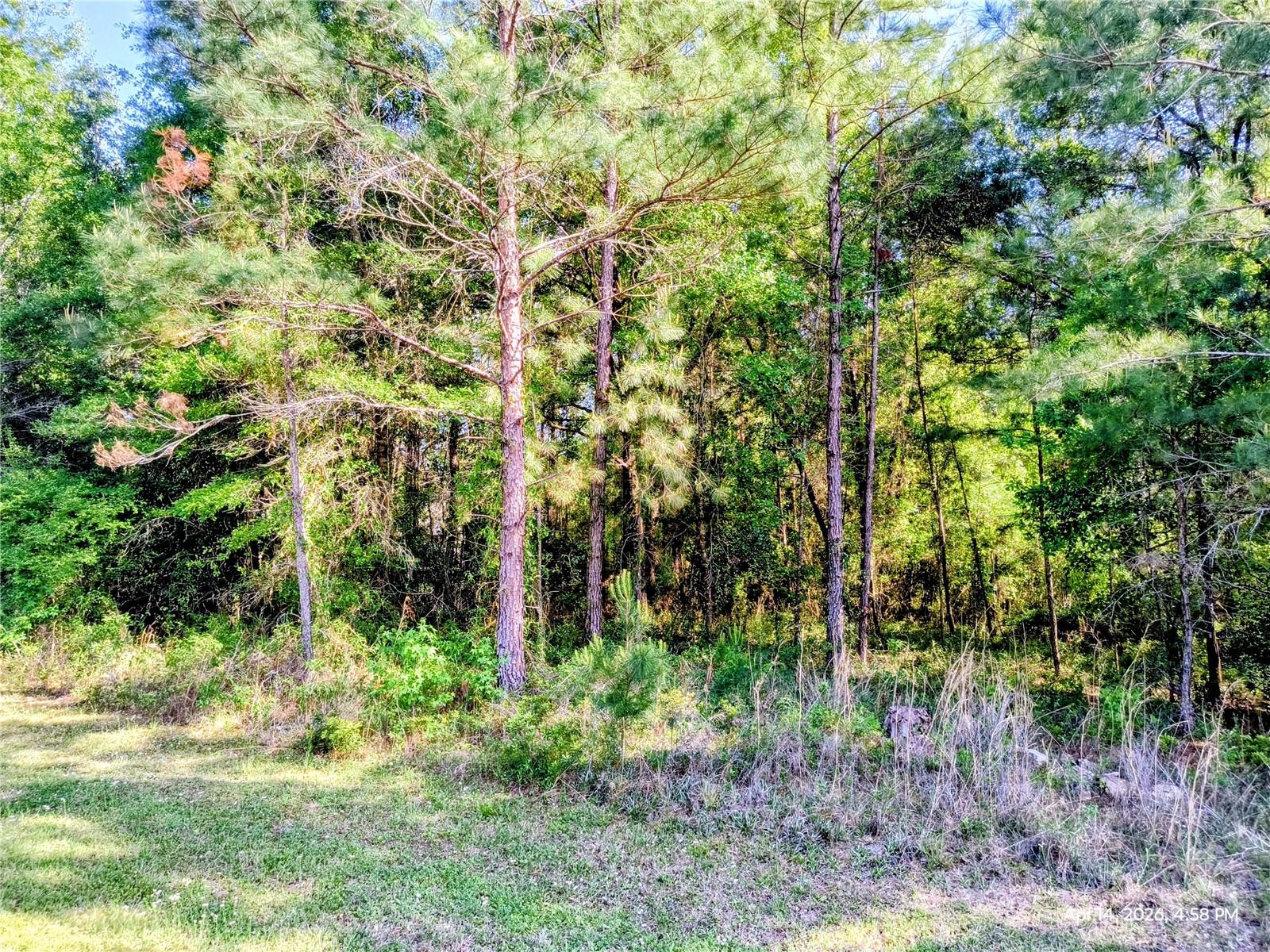Welcome to The Village at Hidden Lakes!  A beautiful and serene, gated communtiy in NW Marion County.  This is an almost 3 acre parcel ready for your new build.  This is a rare find in a peaceful tucked-back setting for your mini-farm/private estate.  Horse-friendly communty with well maintained private roads.  Located near Ocala, Williston and Gainseville!  Also only about 20 minutes from the World Equestrian Center!  Bring your own builder and your vision!  Please call us for your showing opportunity.