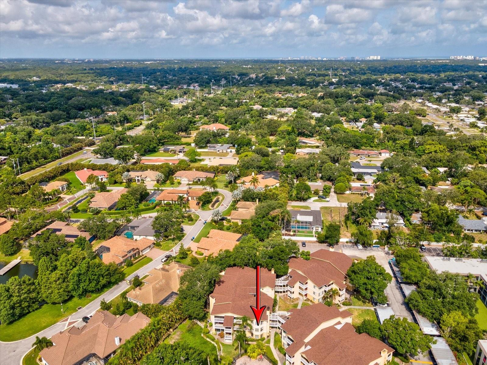 BELLEAIR VILLAGE CONDO - Residential