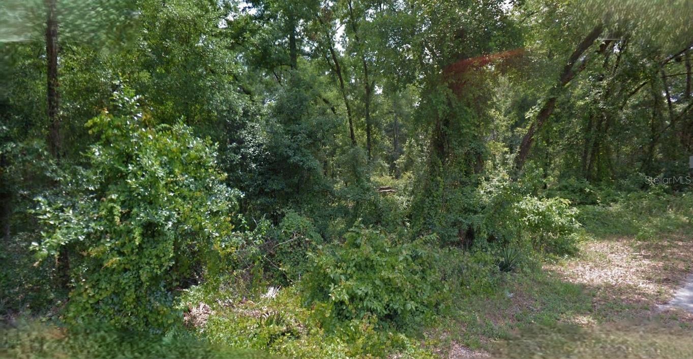 Seize the chance to own a prime piece of the "Nature Coast" in the desirable Inverness Highlands West subdivision. This vacant lot offers a blank canvas for your custom Florida retreat. With no HOA fees, you have the freedom to build a home that truly fits your lifestyle without restrictive monthly dues.  All information provided is deemed reliable but is not guaranteed and should be independently verified.