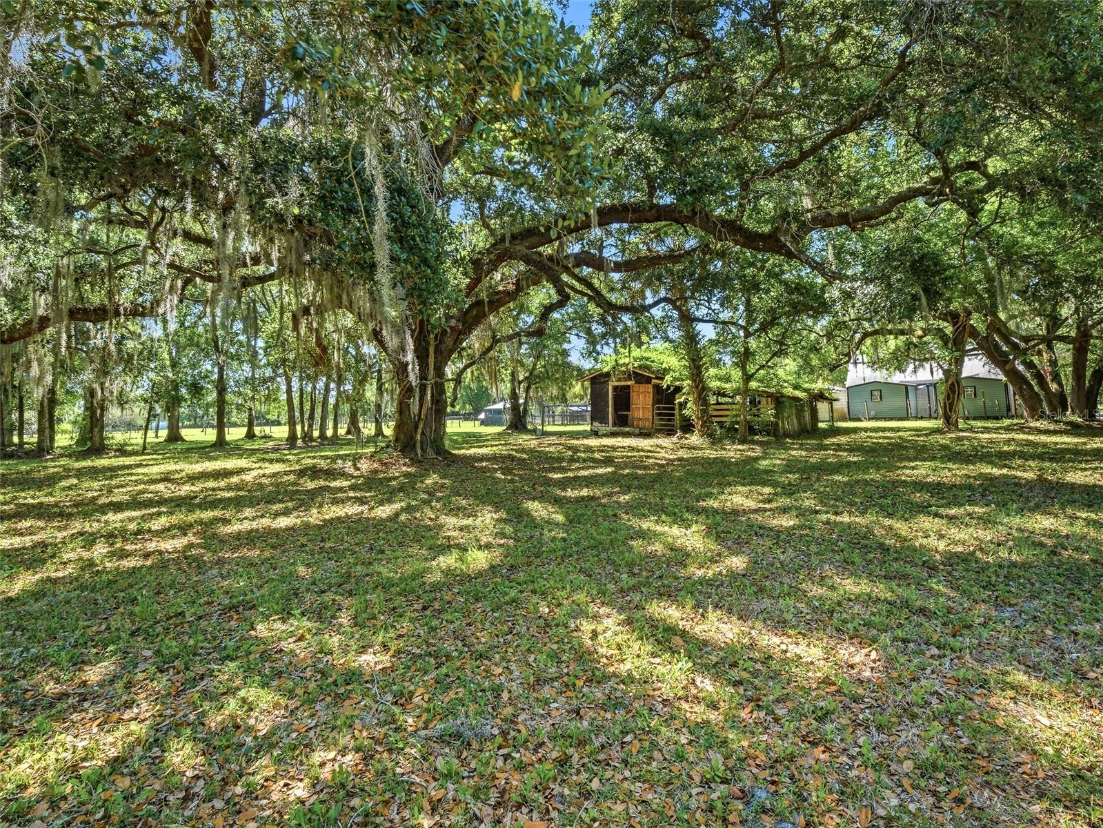 VARNADORE S - Residential