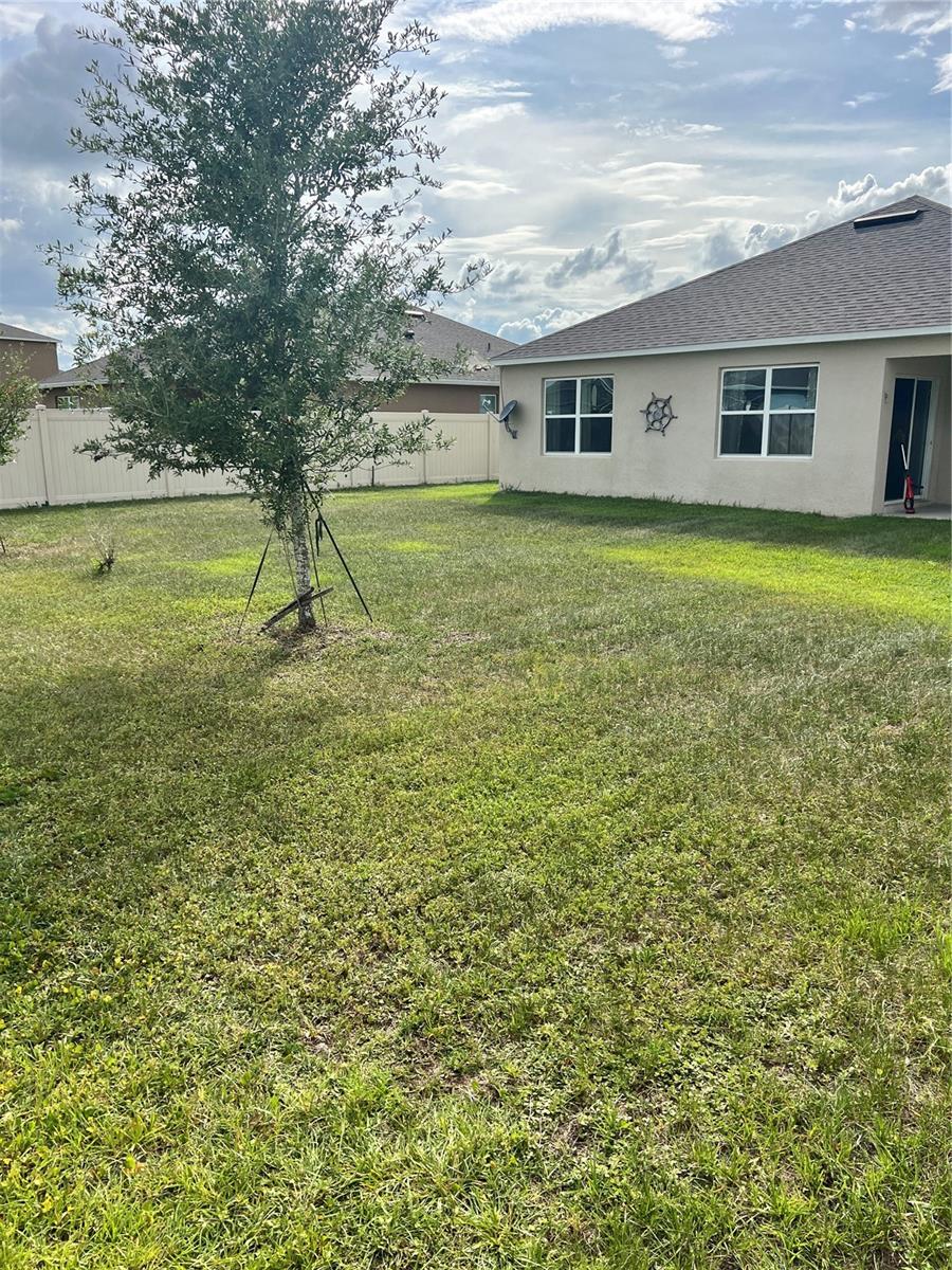 TIMBERWALK IN MOUNT DORA - Residential