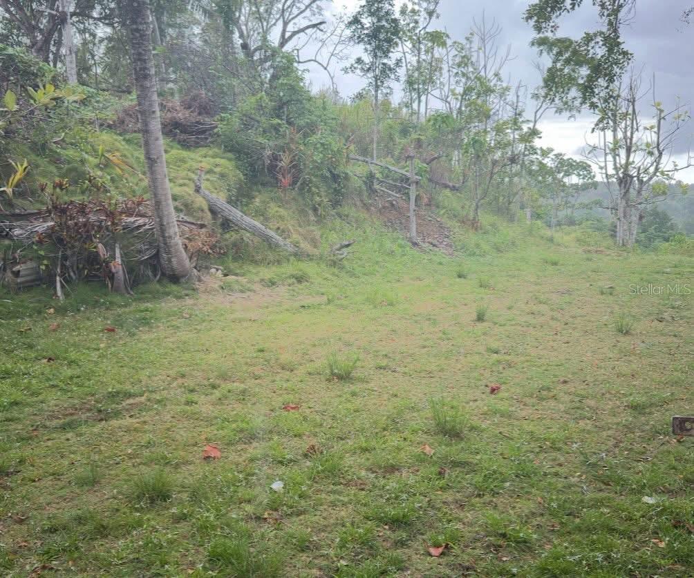 BO GUAJATACA SECTOR PUERTOS - Residential