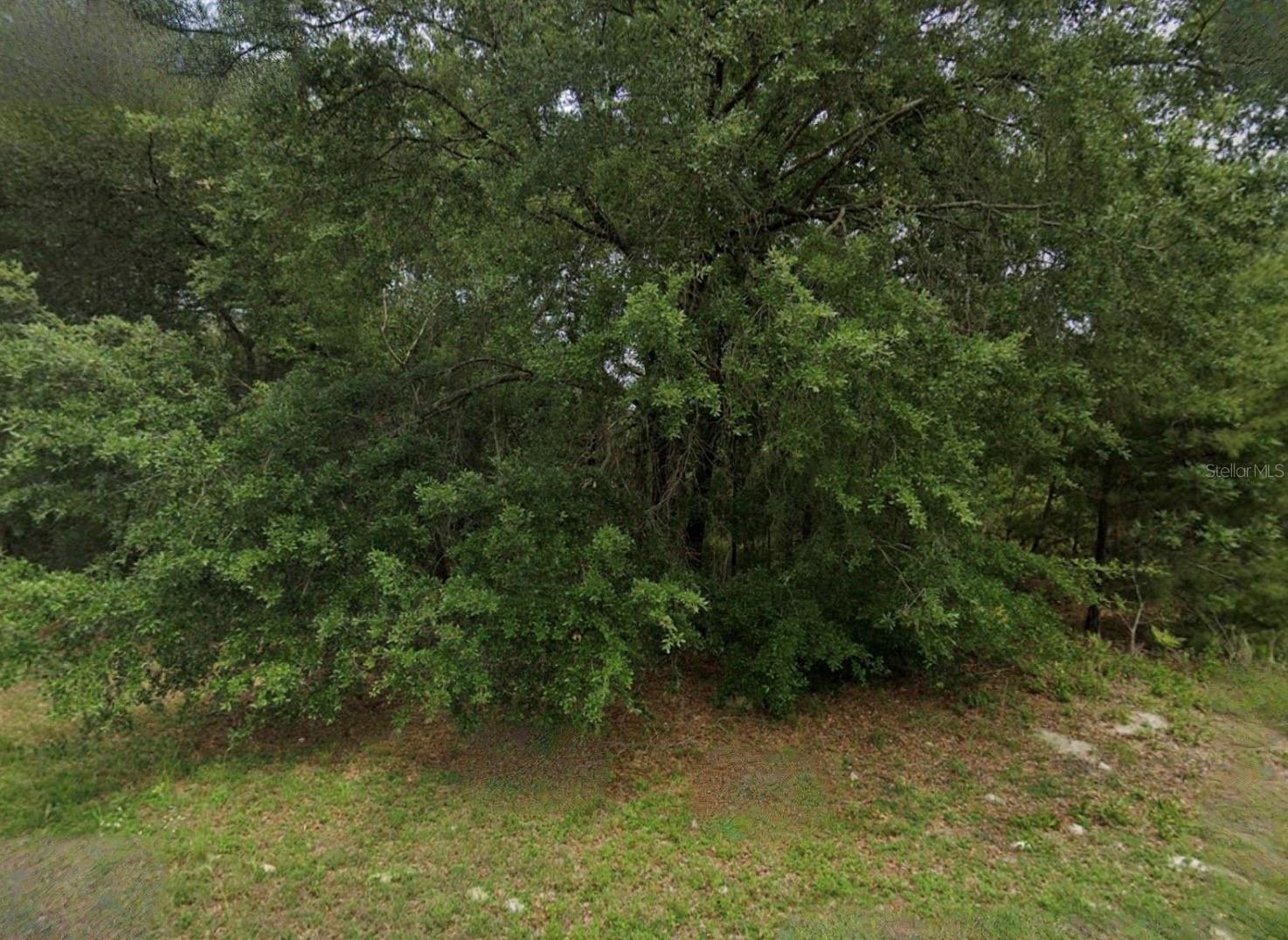 MARION OAKS - Land