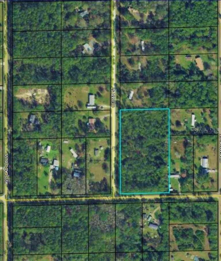 Over 3 Acres of land ready for your future dream home! Enjoy Peace and Tranquility in this Quiet community with No HOA. Room for all of your toys, work equipment, and farm animals free of restrictions. High and dry, build your new home worry free. Located in Daytona North Subdivision of Western Flagler County. This property is close to Haw Creek Preserve, Crescent Lake, Lake George, Dead Lake, and Bull Creek Fish Camp. You are only 15 minutes to shopping and 30 minutes to the ocean.