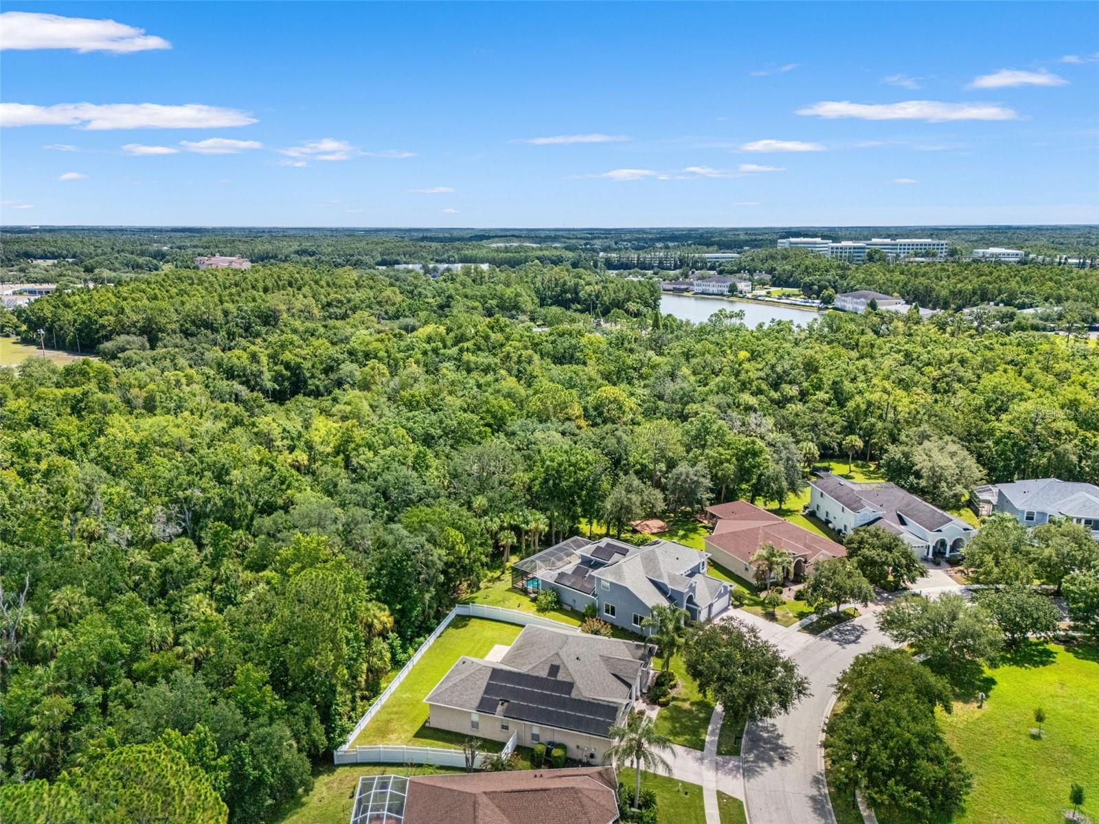 TAMPA TECHNOLOGY PARK WEST PRCL - Residential