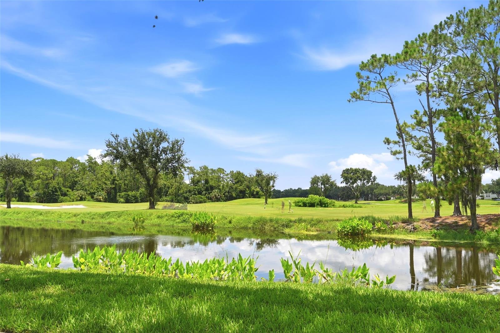SIENA AT CELEBRATION CONDO C - Residential Lease