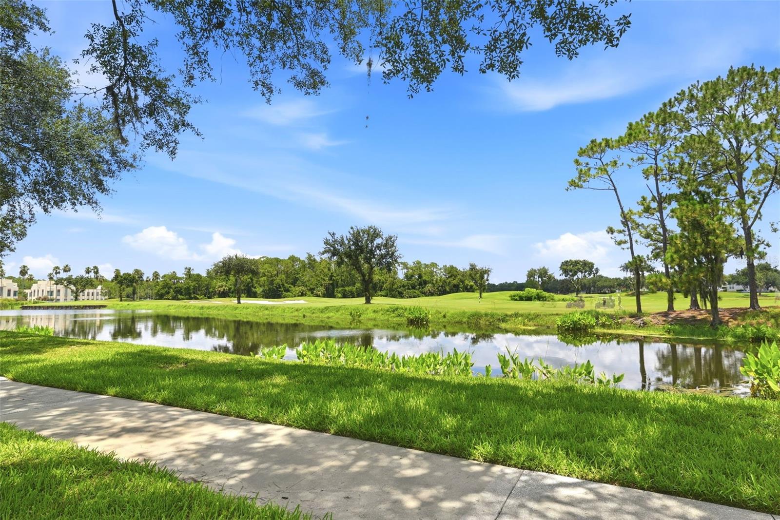 SIENA AT CELEBRATION CONDO C - Residential Lease