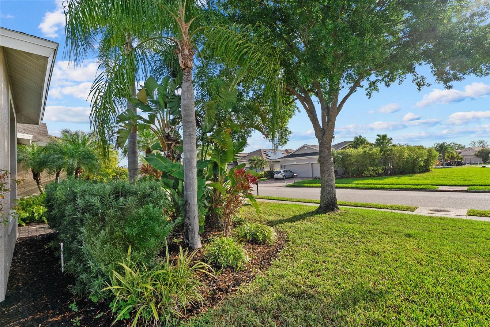 CASCADES AT SARASOTA PH IV - Residential