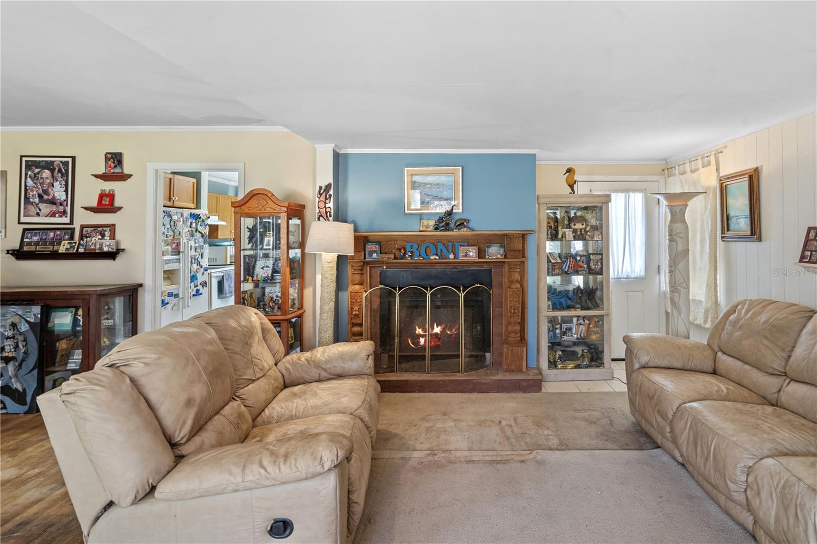 MOUNT PLYMOUTH - Residential