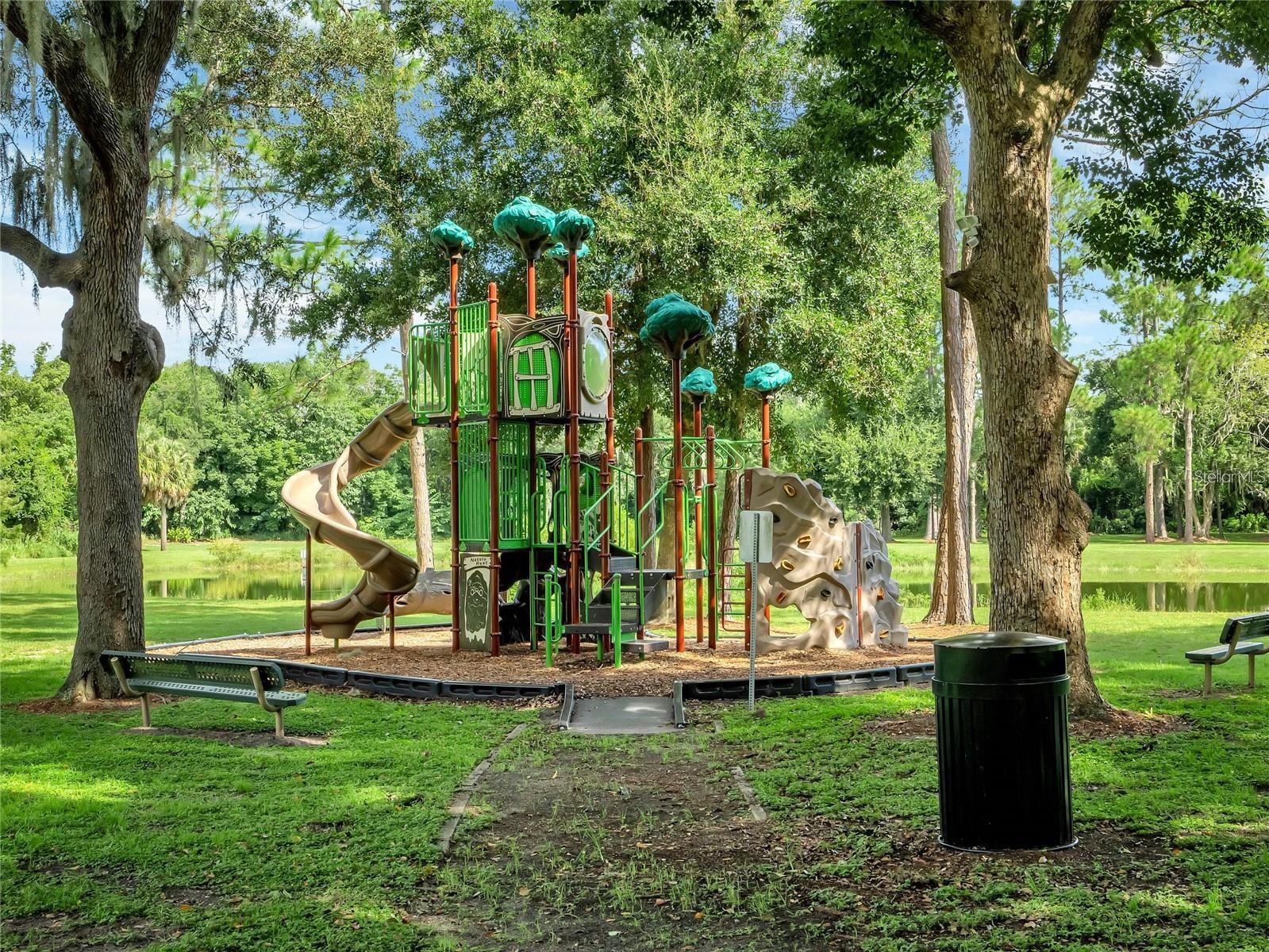 AVALON PARK TAVARES PH 1 - Residential