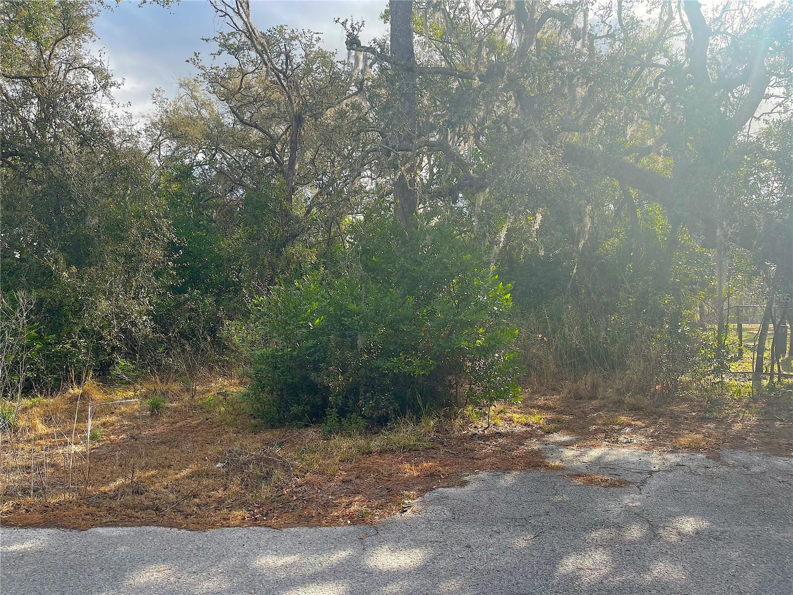 MOON LAKE ESTATES - Land