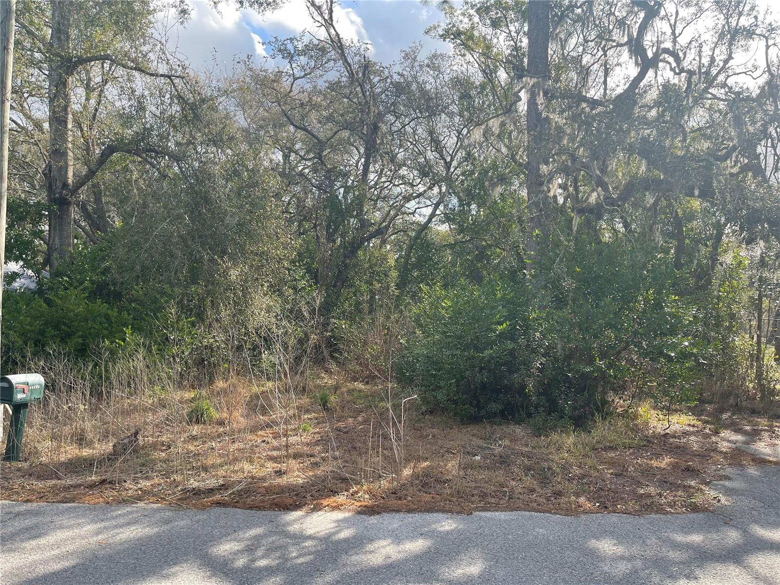 MOON LAKE ESTATES - Land