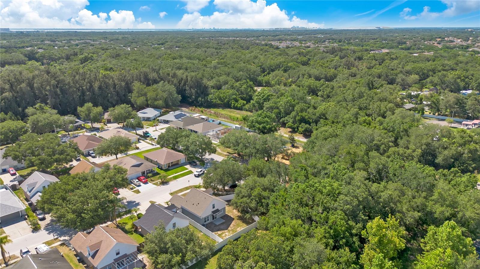 SUMMERVIEW OAKS SUB - Residential