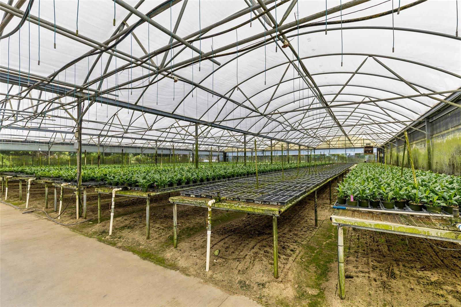 APSHAWA GROVES - Commercial Sale