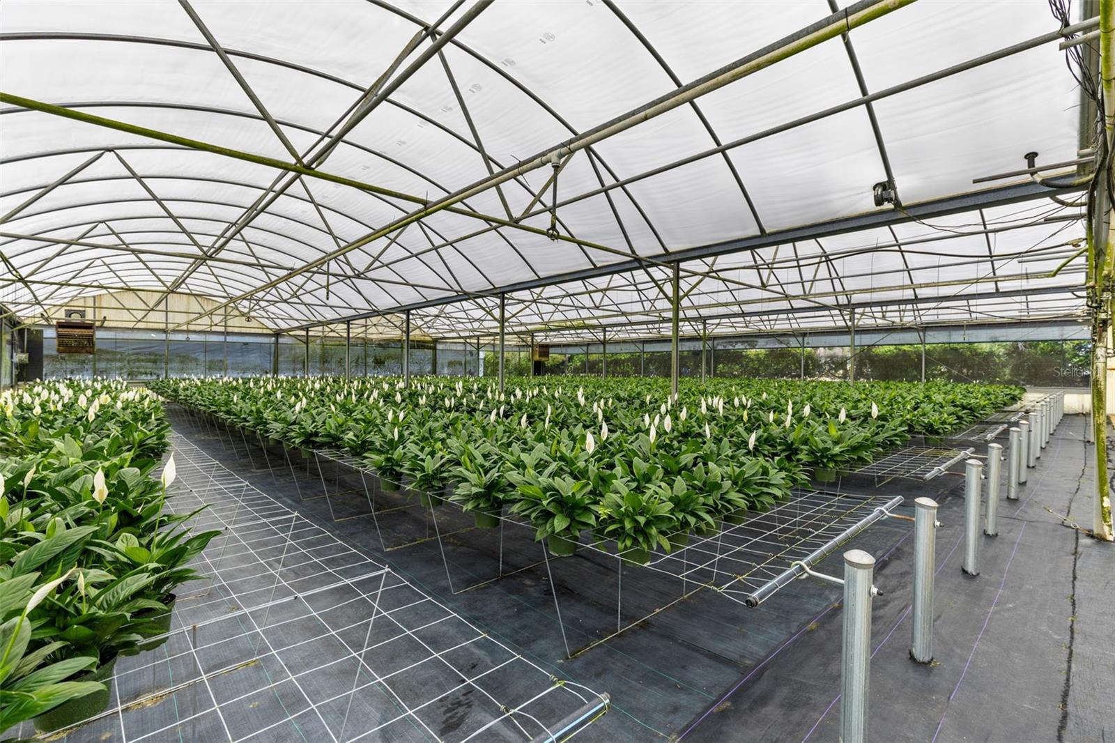 APSHAWA GROVES - Commercial Sale