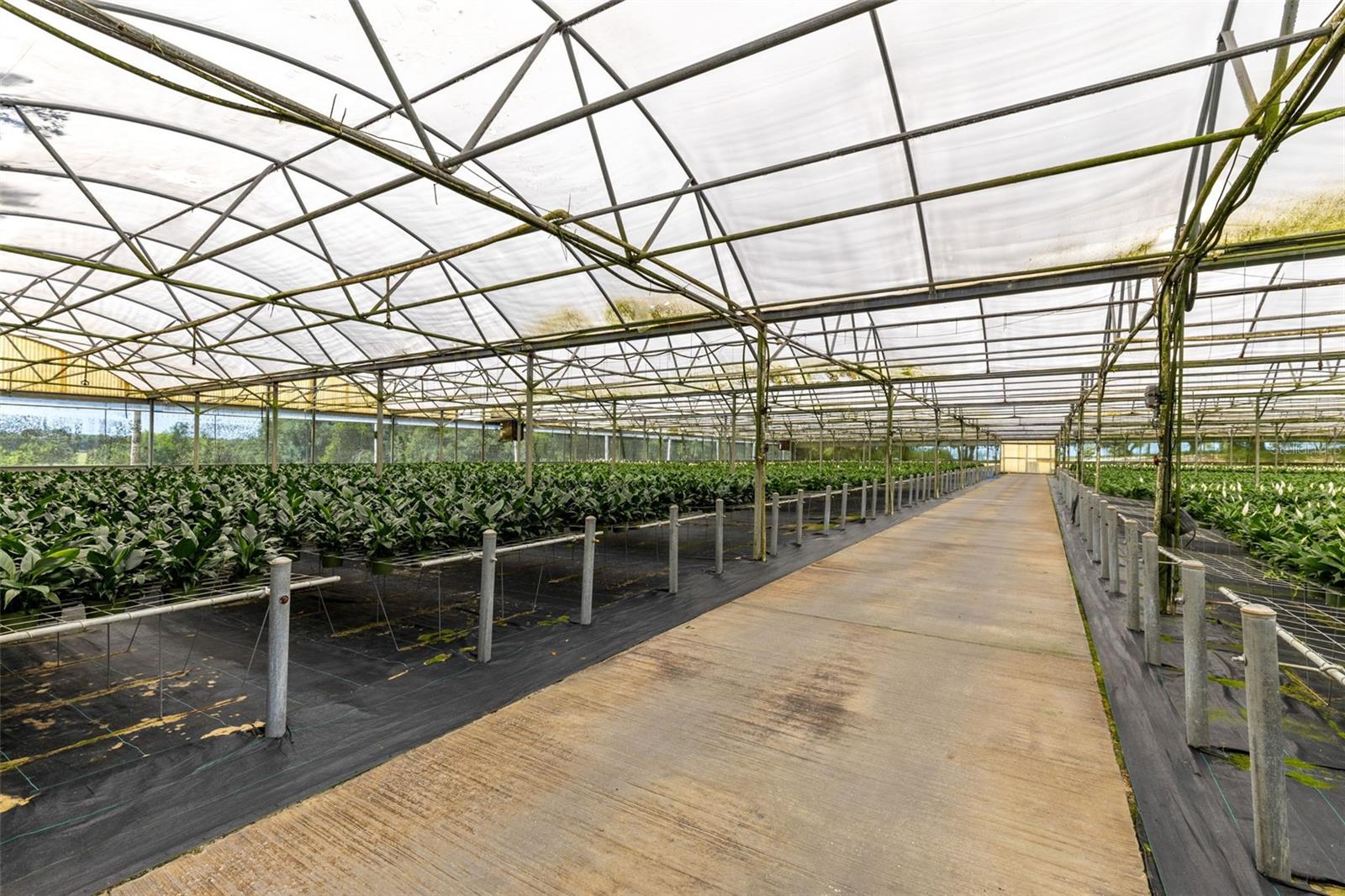 APSHAWA GROVES - Commercial Sale