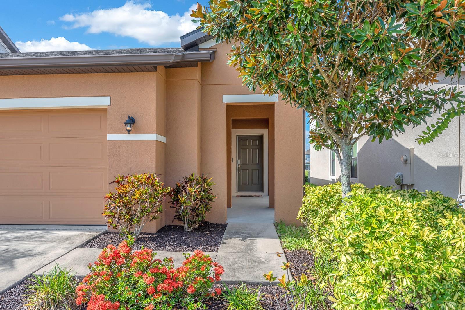 DG FARMS PH 4A - Residential