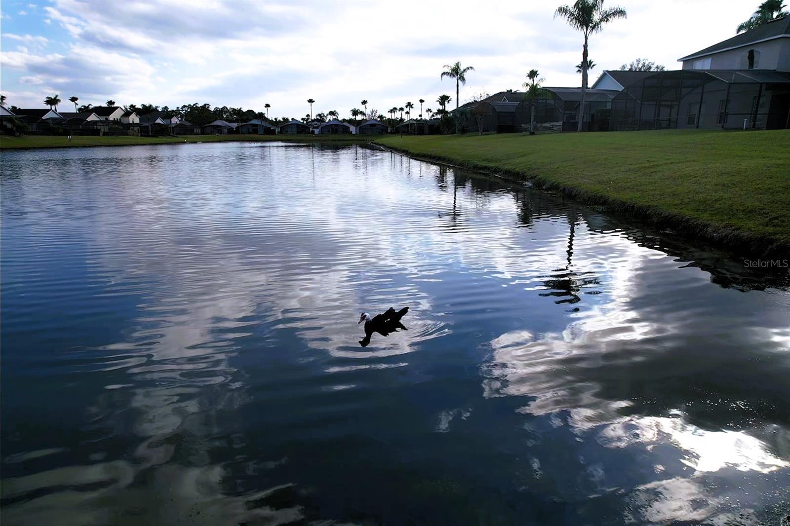 LAKE BERKLEY RESORT - Residential