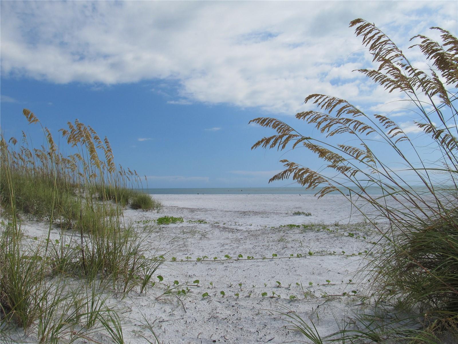 NEPTUNES GARDENS - Residential
