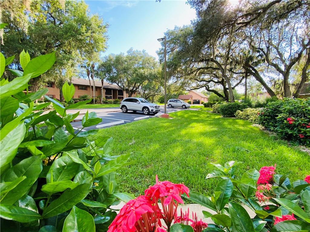 OAK FORREST - Residential