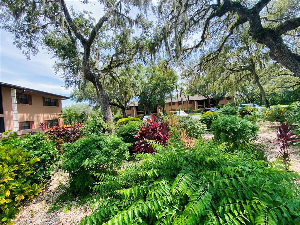 OAK FORREST - Residential