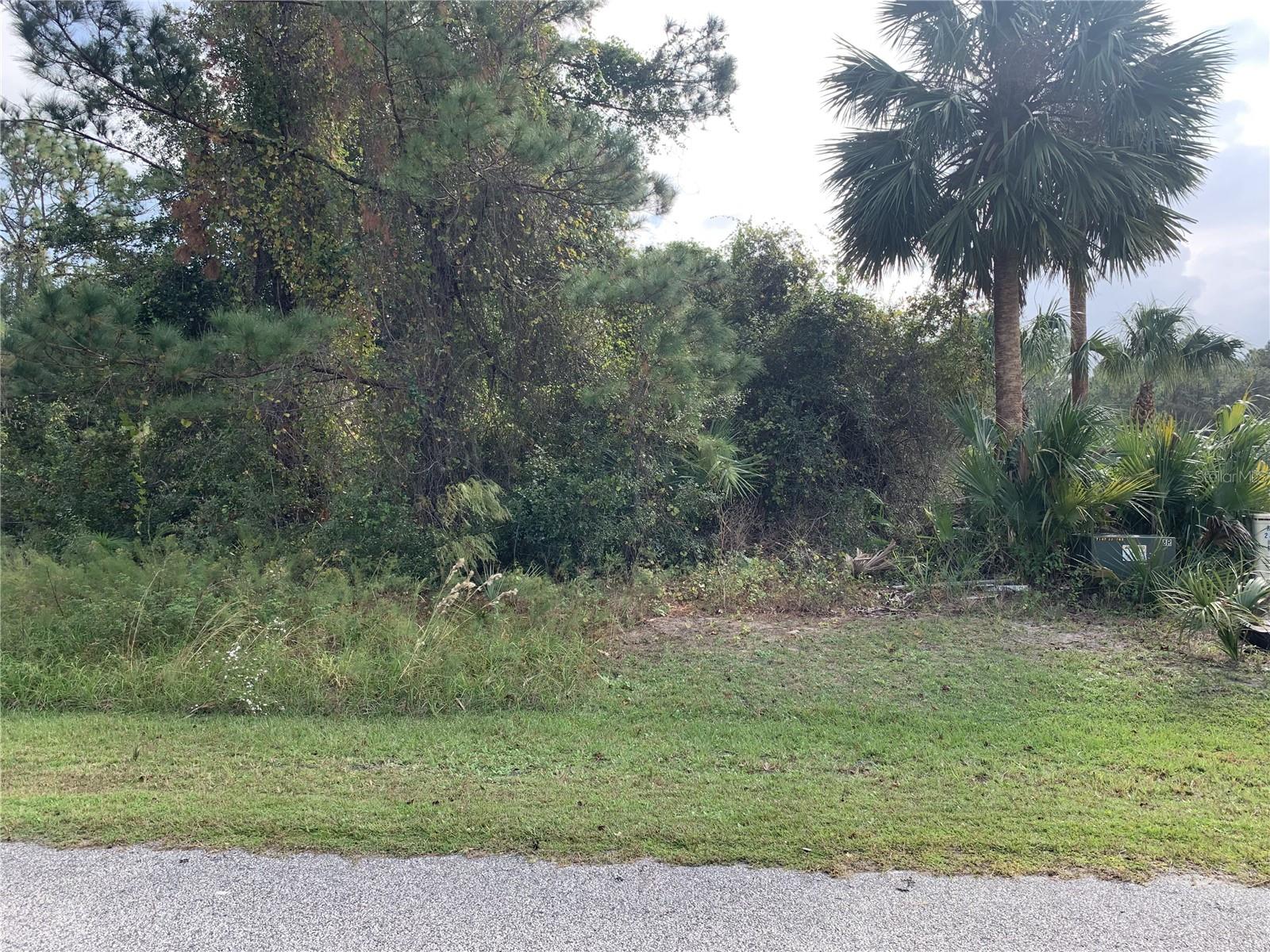 LIVE OAK GOLF & COUNTRY CLUB ESTATES - Land